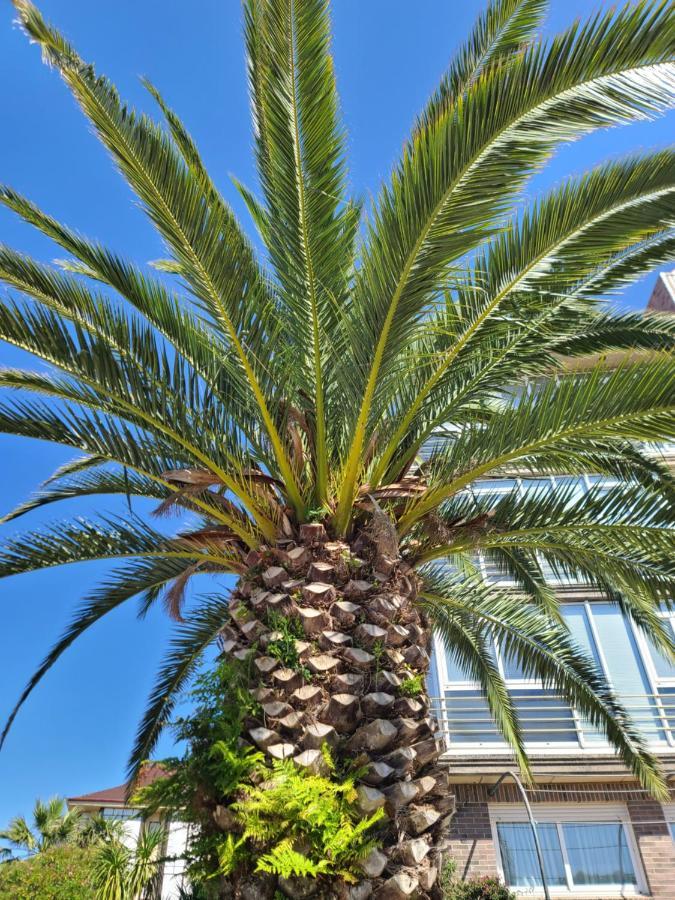 Luminoso Apartamento Playa Ris Con Garaje ノハ エクステリア 写真